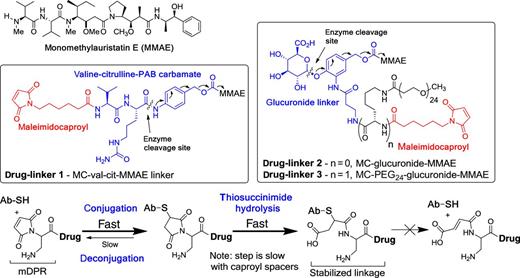 Figure 1. Structures of monomethylauristatin E drug-linkers and self-stabilizing maleimide (mDPR).