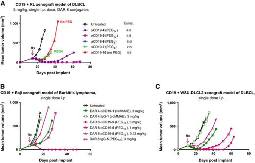 Figure 5. Antitumor activity of PEGylated conjugates in CD19+ lymphoma models following a single intraperitoneal dose of test article once average tumor volume had reached 100 mm3. Plotting was discontinued once tumor volume exceeded 1,000 mm3 for at least one cohort member. A, A subset of PEGylated αCD19 conjugates were evaluated in the RL DLBCL model, dosing occurred on day 14. B and C, The PEG12 drug-linker 5 was compared with the val-cit dipeptide drug-linker 1 in Raji and WSU-DLCL2 lymphoma models, respectively. Anti-CD19 conjugates were prepared at DARs corresponding to loadings that maximize ADC pharmacokinetic properties for each drug-linker. Dosing occurred on day 8 for the Raji model and day 11 for the WSU-DLCL2 model.