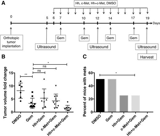 Figure 4. Prolonged combination treatment of orthotopic mouse model with \Hh and HGF/c-Met inhibitors in combination gemcitabine leads to reduction in primary tumor volume and metastatic burden. A, Schematic representation of 2-week treatment regimen in the orthotopic mouse model of PDAC. Baseline tumor volume was determined on postoperative day 5, following by weekly ultrasounds until the last day of treatment. Mice were treated daily beginning one day after the first ultrasound by oral gavage with Hh and/or HGF/c-Met inhibitors or vehicle control. Gemcitabine was administered biweekly via intraperitoneal injection. In the metastasis study (C), livers, lungs, gut, and peritoneum were harvested for gross and histologic analysis of metastases. B, The change in tumor volume (calculated as ratio between week 3 and baseline tumor volume) is shown. Data are representative of one experiment. C, Summary of total numbers of metastases formed (gross and histologic) in each group. The data are representative of one experiment. Mice that died before the completion of the planned treatment or whose quality of tumor was not adequate for analysis due to necrosis were excluded. Gem-gemcitabine (n = 7), Hh-Hh inhibitor + gemcitabine (n = 8), c-Met- HGF/c-Met inhibitor + gemcitabine (n = 10), DMSO-vehicle control (n = 6), Hh + c-Met + gemcitabine (n = 8). ns, not significant; *, P < 0.05; **, P < 0.01; ***, P < 0.001; ****, P < 0.0001 (unpaired Student t test in B and Fisher exact test in C).