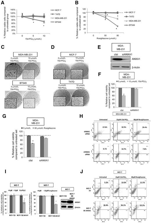 Figure 2. High ANXA1–expressing TNBC cell lines display greater sensitivity to PPARγ ligands compared with low ANXA1–expressing luminal-like cell lines. A–D, MDA-MB231 cells (basal) were treated with indicated concentrations of 15d-PGJ2 and rosiglitazone for indicated time points. Cell viability and colony-forming assay was measured using crystal violet assay after 48-hour treatment with (A and C) 15d-PGJ2 or (B and D) rosiglitazone, respectively. E, Western blot assay after knockdown with siANXA1 F and G, MDA-MB231 cells (Control or ANXA1 siRNA) were treated with indicated concentrations of 15d-PGJ2 and rosiglitazone for indicated time points. Cell viability was measured using crystal violet assay after 48-hour treatment with (F) 15d-PGJ2 or (G) rosiglitazone, respectively. H, ANXA-V PI staining measured after 48-hour treatment with 15d-PGJ2 or rosiglitazone. Percentage (%) indicates cells that underwent late and early apoptosis (total apoptosis). I and J, Viability of MCF-7 EV and MCF-7 V5 (ANXA1 overexpressing) stable cells were measured using crystal violet assay (I) or ANXV-PI staining after 48 hours of indicated PPARγ drug treatments (J). Data are all average ± SEM; n = 3 experiments; *, P < 0.05.