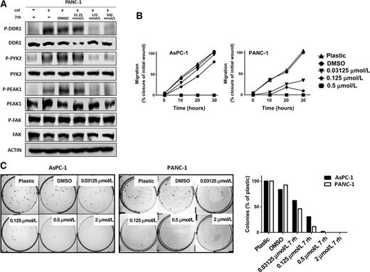 Figure 3. Signaling and functional consequences of DDR1 inhibition by 7rh in human PDA cell lines. A, 7rh inhibited DDR1-mediated signaling in a concentration-dependent manner in human PDA cell line PANC-1. Lysates were probed for the indicated targets by Western blot analysis. B, 7rh inhibited the migration of human PDA cell lines in a concentration-dependent manner over a 30-hour time period via scratch migration assay. C, 7rh inhibited liquid colony formation of human PDA cell lines in a concentration-dependent manner.