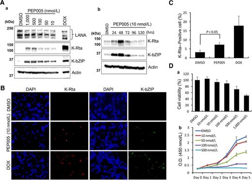 Figure 1. Effects of PEP005 on KSHV latently infected cells. A, KSHV reactivation by PEP005. Immunoblotting was performed 48 hours after incubation with PEP005. Indicated viral and cellular proteins were probed with specific antibody. (a) Different doses of PEP005 and (b) time course was taken to examine KSHV reactivation. B, Immunofluorescense analysis. KSHV reactivation was examined with IFA and (C) number of K-Rta positive cells was counted. D, Effects on cell growth. TRExBCBL-1 cells were incubated with different dose of PEP005 and effects on cell death (a) and cell growth (b) were examined by MTT assays.