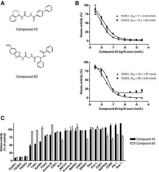 Figure 1. Small-molecule inhibitors for TAOKs. A, Chemical structure of compounds 43 and 63. B, Calculated IC50 values for compounds 43 and 63 and their inhibition of MBP phosphorylation by TAOKs. C, Effects of compound 43 or 63 (0.3 μmol/L) on the catalytic activity of different kinases and phosphorylation of their substrate relative to control samples (n = 2).