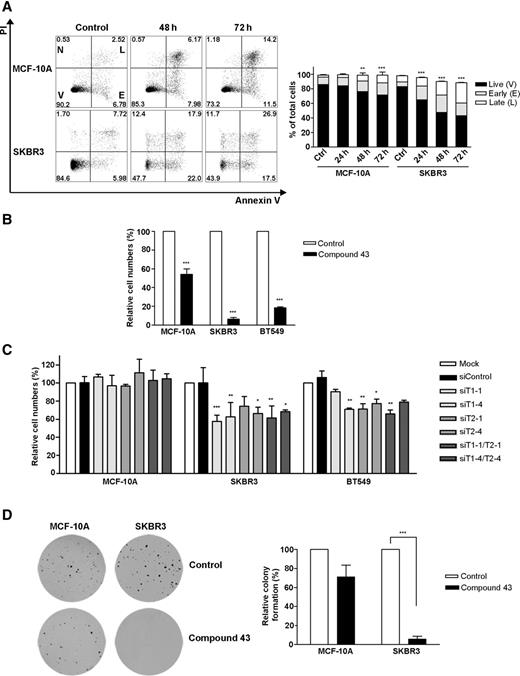 Figure 6. TAOK inhibition reduces SKBR3 cell viability and growth. A, MCF-10A or SKBR3 cells were incubated without (control) or with compound 43, fixed and stained with Alexa-Fluor488–Annexin V (apoptosis) and PI (DNA), and analyzed by FACS to identify live cells (V), early (E), or late (L) apoptotic cells or necrotic (N) cells. A representative figure and quantitative analysis of FACS data are shown. B, MCF-10A, SKBR3, or BT549 cells were incubated with compound 43 (10 μmol/L) where indicated and cells detached after 72 hours and counted. C, MCF-10A, SKBR3, or BT549 cells were transfected with nontargeting siRNA (siControl) or individual oligonucleotides targeting TAOK1 (siT1-1, siT1-4) or TAOK2 (siT2-1, siT2-4) as indicated and cells detached (72 hours) and counted. D, MCF-10A or SKBR3 cells were incubated with or without compound 43 (10 μmol/L) as indicated. After 21 days, colony numbers per plate were determined relative to control cultures (100%). *, P < 0.05; **, P < 0.01; and ***, P < 0.001; n = 3.