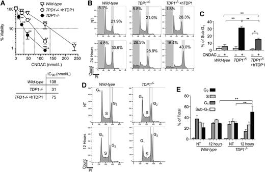 Figure 2. Hypersensitivity of TDP1−/− cells to CNDAC and rescue by human TDP1. A, Percent viability (y-axis) of wild-type and TDP1−/− cells after 72-hour treatment with the indicated concentrations of CNDAC (x-axis). The CNDAC IC90 is shown. Representative cell-cycle analysis of wild-type, TDP1−/−, and TDP1−/− +hTDP1 cells without treatment (NT), or after 0.47 μmol/L (B) or 0.11 μmol/L (D) CNDAC for 24 hours. DNA content was measured by propidium iodide (PI). The percentage of sub-G1 fraction that represents the apoptotic cell fraction is shown. C, E, Quantitation of experiments performed as shown in B and D, respectively. Error bars show the SD of three independent experiments. T test (*, P < 0.05; **, P < 0.001).
