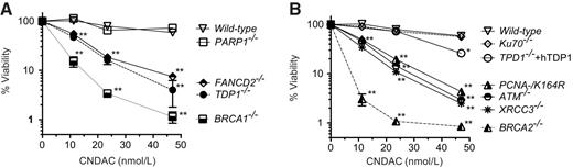 Figure 4. Hypersensitivity of isogenic DNA repair defective DT40 cells to CNDAC. A and B, Viability assays were performed as described in Figure 2. Error bars represent SD of at least three independent determinations. Error bars are not visible when they are encompassed within the size of the symbols. T test (*, P < 0.05; **, P < 0.001). Viability curves are split in two panels (A and B) for clarity.