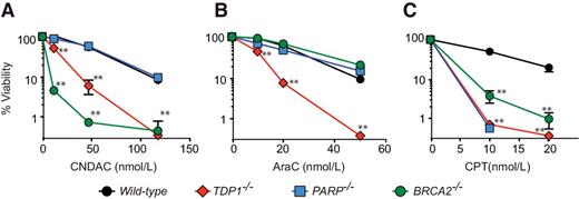 Figure 5. Differential impact of TDP1, PARP, and BRCA2 loss against representative 3′-end ssDNA lesions. The viability of the indicated DNA repair mutants DT40 cells after treatment with CNDAC (A), AraC (B), or CPT (C) was performed as described in Figure 1. T test (**, P < 0.001).