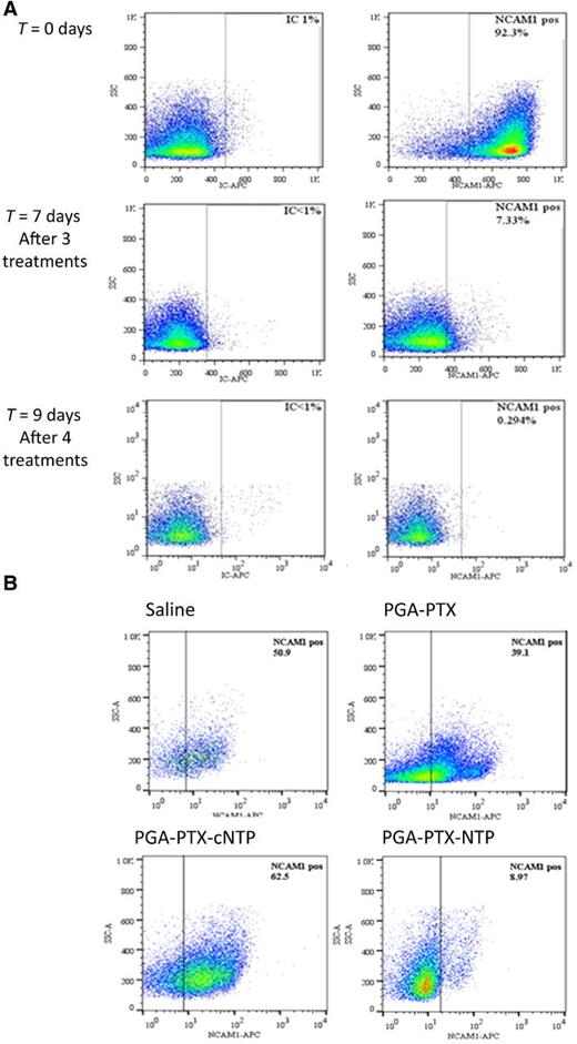 Figure 4. Evaluation of NCAM expression in patient-derived W038 WT tumors. Tumor-bearing mice were euthanized, and tumors were evaluated using flow cytometry for their fraction of NCAM-expressing cells before and after treatments with PGA–PTX–NTP conjugate (IC = isotype control; A). The fraction of NCAM-expressing cells post treatments with PGA–PTX, PGA–PTX–cNTP and saline was evaluated using flow cytometry at the endpoint of the experiment (B).
