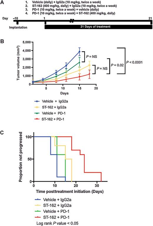 Figure 2. Tumor growth regression by combination of immunomodulators PD-1 and bifunctional MAPK/PI3K inhibitor in murine syngeneic model. A, Experimental design (n = 5/treatment group/2 tumors per animal). Treatment was initiated 10 days after CT26 implantation, indicated as day 1 of drug treatment. Mice were treated orally once daily for 21 days with vehicle, 400 mg/kg ST-162, or twice a week with antibodies against PD-1 or control IgG2 as indicated in the schematic. B, Tumor growth inhibition during 21 days of treatment measured by MRI. Significant inhibition of tumor growth occurred in animals treated with combined ST-162 and anti–PD-1 antibody when compared with vehicle control (P < 0.0001) or anti–PD-1 alone (P = 0.02; C), whereas no statistical significance (P = NS) could be determined when compared with ST-162 alone. No statistical difference was determined between vehicle control and anti–PD-1 antibody–treated animals (P = NS). C, Conditional survival curves of different treatment groups wherein percent change in tumor volume to 600% defined the final event. All groups were found to have significantly different times to progression (P < 0.05). Statistical analyses were performed in GraphPad.
