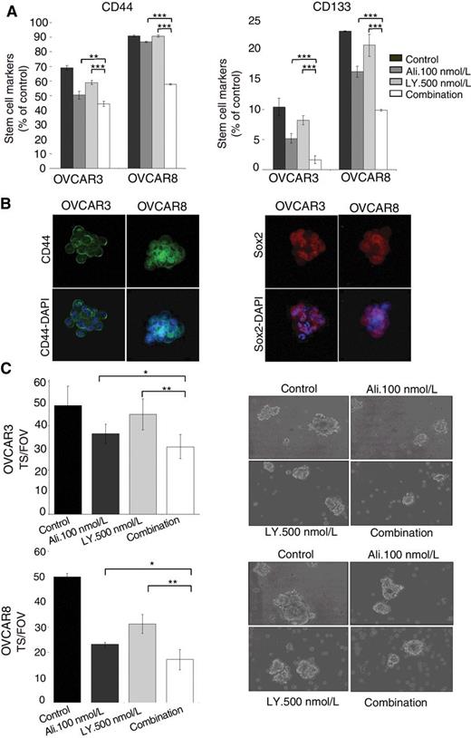 Figure 5. Combination of alisertib and LY2603618 decreases stemness capability in ovarian cancer cells. A, OVCAR3 and OVCAR8 cells were treated as indicated, and 72 hours later cells were collected and surface expression of CD44 and CD133 was determined by flow cytometry. B, CD44 and Sox-2 expression on OVCAR3 and OVCAR8-derived TS was evaluated by inmunofluorence using confocal microscopy, as described in Materials and Methods. C, Secondary formation assays were performed on OVCAR3 and OVCAR8-derived TS to evaluate the effect of alisertib, LY2603618, and the combination on self-renewal capability. Results are represented as number of TS per FOV (left). Representative contrast phase photographs at 72 hours are also shown (right). Student t test differences: *, P ≤ 0.05; **, P ≤ 0.01; ***, P ≤ 0.001.