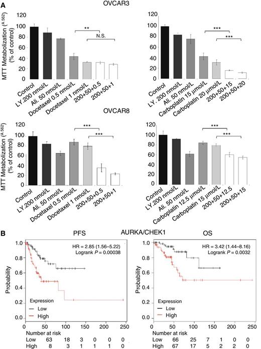 Figure 6. AURKA and CHK1 overexpression correlates with worse prognosis in ovarian cancer patients. A, OVCAR3 and OVCAR8 were treated with alisertib and LY2603618 alone or in combination with docetaxel (left) and carboplatin (right) at the indicated doses. Metabolization of MTT in viable cells was determined by spectrophotometry as described in Materials and Methods. Two-way Student t test differences: **, P ≤ 0.01; ***, P ≤ 0.001. B, Kaplan–Meier curves for PFS and OS for AURKA/CHEK1 expression using the Kaplan–Meier plotter online tool, as described in Materials and Methods.