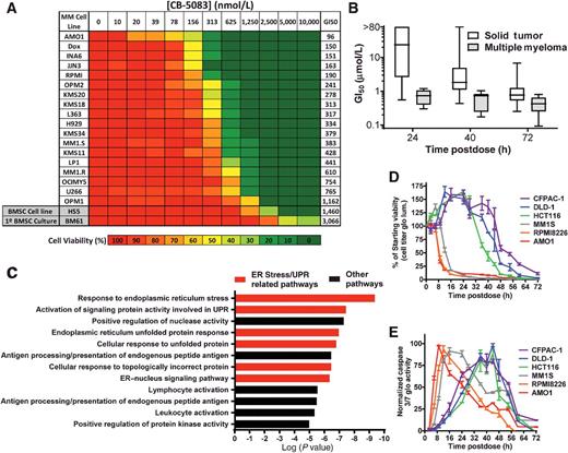 Figure 1. Effect of CB-5083 on cell growth and survival in multiple myeloma and solid tumor cell lines. A, Multiple myeloma cell lines expressing FF-Luc were treated with a dose titration of CB-5083 for 72 hours, followed by measurement of viability using BLI. B, A panel of solid tumor cell lines (n = 153) and multiple myeloma cell lines (n = 7) were treated with CB-5083 for 24, 40, and 72 hours, and cell viability (box plot ± min and max) was determined using the Cell Titer Glow assay. C, Genes overexpressed in multiple myeloma with a P value <0.001 were analyzed using ENRICHR. Mean gene expression values were calculated for all solid tumor–derived cell lines versus multiple myeloma cell lines using the CCLE gene expression data. Difference in gene expression between the two cell groups was calculated using a Student t test. D, Time course evaluation of viability of cell lines treated with 2.5 μmol/L CB-5083 for various amounts of time with cell death read-out at 72 hours using the Cell Titer Glow assay. E, Time course evaluation of caspase-3/7 induction in cell lines treated with 2.5 μmol/L CB-5083 by caspase 3/7-Glo assay. All data are representative of ≥ two experiments.