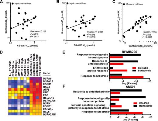 Figure 3. CB-5083 activity is different than PIs. A–C, The viability GI50 for the 18 multiple myeloma cell line panel was generated for carfilzomib (A), bortezomib (B), and CB-5083 (C), then plotted and compared for each pair of agents. D, Transcriptomic data were generated in RPMI8226, MM.1S, and AMO-1 cells treated for 6 hours with a high (1 μmol/L for RPMI8226 and MM.1S; 500 nmol/L for AMO-1) or a low (500 nmol/L for RPMI8226 and MM.1S; 100 nmol/L for AMO-1) dose of CB-5083, or bortezomib (10 nmol/L). Gene expression heatmaps were generated using GENE-E software. E and F, Gene ontology analysis was performed on gene lists obtained after RNA-seq analysis, sorted by magnitude of differential expression after bortezomib or CB-5083 treatment in RPMI8226 (E) or AMO-1 (F) cells, by GO biological processes enrichment analysis using Enrichr.