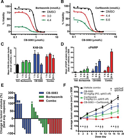 Figure 4. Combination of CB-5083 with bortezomib showed enhanced cytotoxic effect in multiple myeloma. A and B, Viability of RPMI8226 cells over a range of CB-5083 doses as a single agent (black) and in the presence of varying doses of bortezomib (A) or carfilzomib (B; colored). Percentage viability was determined by normalizing to viability obtained in the DMSO control group. Cells were treated continuously with CB-5083 and PIs for 72 hours and then assessed for viability by using Cell Titer Glow Assay. C and D, Pharmacodynamic evaluation in SCID beige mice bearing RPMI8226 tumors (n = 3–4/group). Mice were received a single oral dose of CB-5083 at 60 mg/kg, bortezomib at 0.8 mg/kg, or the combination of both agents. Tumors were collected at 1, 6, and 24 hours postdose, and tumor lysates were subjected to MSD analysis for K48-Ub (C) or cPARP (D). E, Waterfall plot representation of tumor response at individual mouse level in AMO-1 xenografts treated with CB-5083, bortezomib, or both agents in combination (n = 8–9/group). For each animal, the best average response was calculated as the minimal value of tumor volume change at time t to its baseline, with t >10 days. CB-5083 was dosed 4 days on/3 days off, orally (PO) at 50 mg/kg, and bortezomib twice per week, i.v. at 0.8 mg/kg. Traditional growth curve of the same experiment is represented in Supplementary Fig. S4. F, RPMI8226 cells (1 × 107) were subcutaneously inoculated into SCID beige mouse hind flank region. When the tumors reached 200 to 300 mm3, mice were randomized in treatment groups (9 mice in each group) and treated with CB-5083 and carfilzomib vehicles, CB-5083 (30 mg/kg – 4 days on/3 days off), carfilzomib (3 mg/kg, 2 days on/5 days off), or combination of both agents for 18 days. All data are representative of ≥2 experiments.