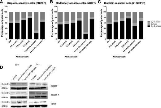 Figure 6. Influence of animacroxam on the cell cycle of TGCT. Animacroxam induced a cell-cycle arrest in the G0–G1 phase of cisplatin-sensitive 2102EP cells (A), moderately sensitive NCCIT cells (B), and cisplatin-resistant 2102EP-R cells (C) after 48 hours of incubation. Data are given as percentage of untreated controls (means of n = 3 independent experiments). D, Representative Western blots of animacroxam and vorinostat induced changes in the expression of the cell-cycle promotor CYCLIN D1 in TGCT cells.
