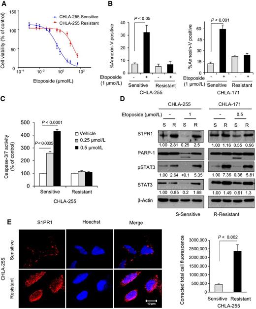 Figure 4. The S1PR1/JAK2/STAT3 pathway is overactivated in acquired drug resistance. A, Dose-dependent cell viability curve of CHLA-255 etoposide-sensitive and etoposide-resistant NB cells treated with etoposide for 24 hours. The IC50 values were determined using GraphPad Prism 6 software. B, Flow cytometry analysis of apoptosis by Annexin V staining of the CHLA-255 and CHLA-171 etoposide-sensitive and etoposide-resistant NB cells after treatment with etoposide (1 μmol/L) for 24 hours. Data represent mean ± SEM percentage of Annexin V–positive cells of 4 independent experiments, each performed in duplicate. C, Caspase-3/7 activation in CHLA-255 etoposide-sensitive and -resistant cells responding to etoposide treatment. D, Western blotting of S1PR1, full-length PARP-1 and its cleavage fragment, pSTAT3 and total STAT3 in CHLA-255 and CHLA-171–sensitive (S) and -resistant (R) cells following exposure to etoposide for 24 hours. Data are representative of 3 independent experiments with similar results. E, Immunofluorescent (red) staining of S1PR1 in CHLA-255–sensitive and -resistant cells by confocal microscopy. Nuclei were stained with Hoechst 33342. Images are representative of 3 independent experiments. Scale bar, 10 μm. Right, quantitation of fluorescence of immunostained cells using ImageJ. The data represent the mean + SEM total cellular fluorescence value (in pixels) from 20 to 25 cells analyzed.