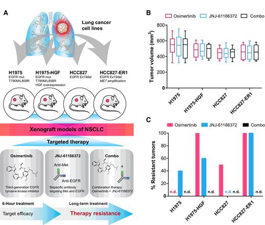 Figure 1. Experimental design and phenotypic results: analysis of in vivo target efficacy and drug resistance mechanisms. A, Tumor xenograft models were established for four NSCLC cell lines with EGFR mutation: H1975, H1975-HGF (overexpressing HGF), HCC827, and HCC827-ER1 (MET amplification). Tumor-bearing mice were treated with the small-molecule inhibitor, osimertinib (chemical structure based on ref. 26) and the bispecific antibody JNJ-61186372 alone or in combination (combo). Tumors were collected after 6 hours of treatment to evaluate target efficacy, and resistant tumors were collected after long-term treatment. B, Box and whisker plots of tumor volume for each xenografted NSCLC cell line on day 1 of treatment. C. Outgrowth of resistant tumors (>50 mm3). n.d., not detected.