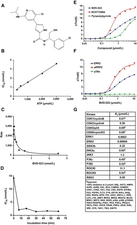 Figure 1. Discovery and characterization of novel ERK1/2 inhibitor BVD-523 (ulixertinib). A, Structure of BVD-523. B, Inhibitory potency of BVD-523 for ERK2 as a function of ATP concentration, C, Demonstration of enzyme inhibition as a function of inhibitor concentration in the presence of 50 μmol/L ATP, and D, Measurement of inhibitory potency as a function of incubation time. Binding of the ERK inhibitors BVD-523, SCH772984, and pyrazolylpyrrole to ERK2 (E) and phosphorylated ERK2 as measured by changes in enzyme melting temperatures (p38a included as negative control; F). G, Potency of BVD-523 against a panel of kinases. For B–G, representative data are shown.