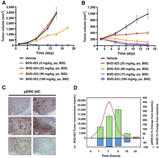Figure 3. In vivo BVD-523 antitumor activity. Effects of orally dosed BVD-523 monotherapy on tumor volume in A375 (BVD-523 groups n = 15, vehicle group n = 10; A) and Colo205 (n = 12 per group; B) cell line xenografts. Mean tumor volume ± SEM is plotted for each group. In A375, 50 mg/kg and 100 mg/kg BVD-523 twice daily are significant compared with vehicle control (P = 0.004 and P < 0.001 respectively). In Colo205, 50, 75, and 100 mg/kg BVD-523 twice-daily groups are significant compared with vehicle control (all P < 0.0001). C, IHC images for pERK in Colo205 xenograft tumors at 0, 1, 3, 8, 16, and 24 hours post-single 100 mg/kg dose of BVD-523. D, BVD-523 tumor concentrations and percent changes from baseline for pERK and DUSP6 mRNA are plotted at 0, 1, 3, 8, 16, and 24 hours post-single dose 100 mg/kg BVD-523 (representative data shown).