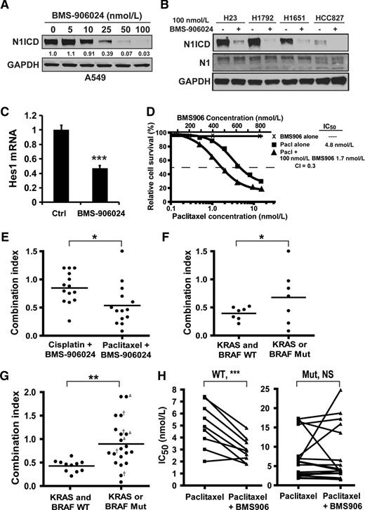 Figure 1. BMS-906024 is a potent inhibitor of Notch activation and enhances the antitumor activity of paclitaxel in vitro. A, BMS-906024 treatment of NSCLC cell lines for 72 hours decreases levels of Notch1 intracellular domain (N1ICD). The change in N1ICD protein levels relative to untreated cells (0 nmol/L) and normalized to GAPDH is indicated below the immunoblot. B, Treatment with 100 nmol/L of BMS-906024 for 72 hours maximally decreases N1ICD without affecting total uncleaved Notch1 (N1). C, Downregulation of Hes1 mRNA in A549 NSCLC cells treated with BMS-906024 for 24 hours. Error bars represent SD. D, Chemosensitivity MTS assay performed on H2228 NSCLC cells treated for 72 hours with BMS-906024 (BMS906), paclitaxel (pacl), or 100 nmol/L BMS-906024 and paclitaxel. E, CI values from 14 NSCLC cell lines treated with 100 nmol/L BMS-906024 and either cisplatin or paclitaxel for 72 hours. F, CI values at the IC50 for BMS-906024 and paclitaxel in 14 NSCLC cell lines grouped by KRAS/BRAF status. G, CI values at the IC50 for BMS-906024 and paclitaxel in 31 NSCLC cell lines (including the 14 shown in E) grouped by KRAS/BRAF status. Open triangle, KRAS-dependent cell line; †, KRAS-independent cell line. H, Shift in IC50 values for the KRAS- and BRAF-WT (left) or the KRAS- or BRAF-mutant (right) cell lines when treated for 72 hours with paclitaxel alone or paclitaxel and 100 nmol/L BMS-906024. Outlier cell lines that were paclitaxel-resistant were removed from these graphs (WT: H1838, H1693; mutant: H1395, H2405). *, P < 0.05; **, P < 0.01; and ***, P < 0.001. NS, not significant.