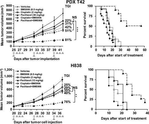 Figure 5. BMS-906024 enhances the antitumor activity of chemotherapy in vivo. NSCLC xenografts were treated with vehicles, BMS-906024 (BMS906; triangles), paclitaxel or cisplatin (arrows), or the noted drug combinations as indicated in the insets. Left plots show tumor growth inhibition (TGI). Error bars represent the data range. *, P < 0.05; **, P < 0.01; ***, P < 0.001; and NS, not significant. Right plots show Kaplan–Meier survival analysis of vehicles, BMS-906024, paclitaxel, and BMS-906024 plus paclitaxel-treated groups in PDX-T42 and H838 xenografts (log-rank test for paclitaxel vs. paclitaxel plus BMS-906024–treated groups, P < 0.0001 for both). N = 6–8 mice per group for each experiment.