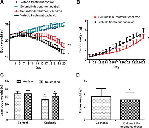 Figure 2. Effect of selumetinib on tumor and body weights of CT26 tumor-bearing cachexia mice. The in vivo tumor weight (B) was calculated on the basis of the tumor length and width, and the dynamic body weight (A) was calculated as the whole weight minus the tumor weight, as described in the Materials and Methods. The lean body weight (C) and the exact tumor weight (D) were measured when the mice were euthanized in the second experiment. Every group included 10 mice. Data represent the means ± SD. *, P < 0.05 versus the value for vehicle-treated control group, and #, P < 0.05 versus the value of vehicle-treated cachexia group (Student t test).
