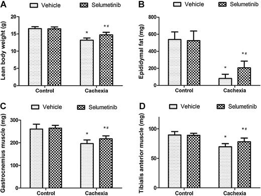 Figure 3. Effect of selumetinib on lean body weight (A), epididymal fat (B), gastrocnemius muscle (C) and tibialis anterior muscle (D) of CT26 tumor-bearing cachexia mice. The weights were quickly measured after the mice were euthanized. Each group comprised ten mice. Data represent the means ± SD. *, P < 0.05 versus the value of vehicle-treated control group, and #, P < 0.05 versus the value of vehicle-treated cachexia group (Student t test).