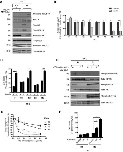 Figure 3. Sensitivity to IGF1R/IR inhibition of TSCs derived from recurrent tumors. A, Western blot analysis of pro-IR and phosphorylated and total IGF1R/IR, AKT, and ERK1/2 in TSC-S2 and TSC-R6 in the presence (+) or absence (−) of Insulin (200 ng/mL) for 48 hours in serum-free medium. B, Relative cell growth measured by ATP content of TSCs cultured in the presence (+) or absence (−) of insulin (200 ng/mL) for 96 hours in serum-free medium. Data represent three independent experiments conducted in triplicate presented as the mean ± SEM. *, P < 0.05; ***, P < 0.001. C, Cell death measured by FACS analysis of propidium iodide (PI) positivity of TSCs in the presence (+) or absence (−) of insulin (200 ng/mL) for 72 hours in serum-free medium. Data represent three independent experiments conducted in triplicate presented as the mean ± SEM. **, P < 0.01; ***, P < 0.001. D, Western blot analysis of phosphorylated and total IR/IGF1R, AKT, and ERK1/2 in TSC-R1 and TSC-S2 treated with DMSO or OSI-906 (5 μmol/L) for 48 hrs in serum-free medium. E, Relative cell growth measured by ATP content of TSCs treated with an IR/IGF1R inhibitor, OSI-906, at the indicated concentrations for 96 hours in serum-free medium. Data represent three independent experiments conducted in triplicate presented as the mean ± SEM. When comparing all TSC-S lines to all TSC-R lines, P < 0.0001. F, Cell death measured by FACS analysis of PI positivity of TSC-S2 and TSC-R6 treated with DMSO or OSI-906 (5 μmol/L) for 72 hrs in serum-free medium. Data represent three independent experiments conducted in triplicate presented as the mean ± SEM. *, P < 0.05; **, P < 0.01.