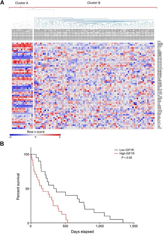 Figure 5. IGF1R is associated with survival and RTK activity in a subgroup of proneural GBMs with lower PDGFRA levels. A, Heat map and dendogram show hierarchical clustering of 95 proneural samples from the TCGA database based on RTK expression. B, Kaplan–Meier survival curves comparing IGF1R high (z > 0.5) and IGF1R low (z ← 0.5) proneural GBM patients within cluster B shown in A. Log-rank test comparing the survival curves has a P value of 0.0408.
