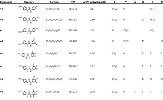 FNDs with substituents X or Y in the “first” aryl ring and substituents A,B,C,D in the “second aryl” ring. AMPK activation ratios were relative to compound 3 from a previous study [13]