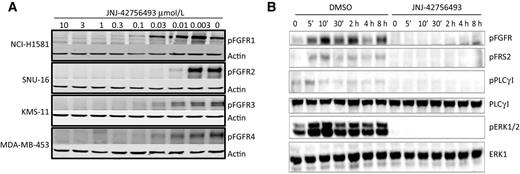 Figure 1. JNJ-42756493 inhibits FGFR auto-phosphorylation in cancer cells lines with activated FGFR1-4 and FGFR-dependent signaling in NCI-H1581 cells. A, Western blots of phospho-FGFR (pFGFR) and protein loading control actin in human cancer cell lines containing FGFR1-4 alterations following treatment with multiple JNJ-42756493 concentrations. B, Western blots of several phospho-proteins in FGFR signaling pathway and loading control proteins PLCγ1 and ERK1 in NCI-H1581 cells pretreated with DMSO or JNJ-42756493, then stimulated for indicated length of time with FGF2.