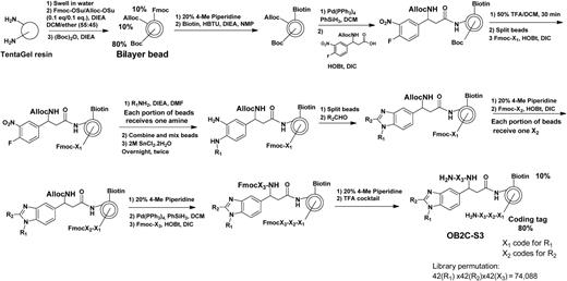 Figure 1. Synthetic scheme of library OB2C. The library was synthesized on topologically segregated bilayer TentaGel beads using split-mix synthesis method. The library has three diversities from 42 primary amines (R1NH2), 42 aldehydes (R2CHO), and 42 amino acids (X3) containing both l- and d-amino acids, and natural and unnatural amino acids, respectively.