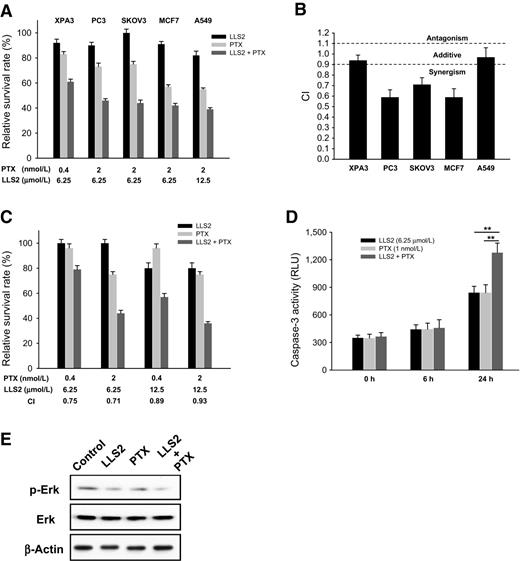 Figure 5. LLS2 can potentiate the anticancer effects of paclitaxel (PTX). A, The cytotoxicity of LLS2 alone, PTX alone, and the combination of LLS2 and PTX. B, The CI of the treatment of combination of LLS2 and PTX. CI <0.9 indicates synergism, CI = 0.9–1.10 indicates additive interaction, and CI >1.1 indicates antagonism. C, LLS2 can potentiate the anticancer effects of PTX at various concentrations. D and E, Apoptosis was increased (D), and phospho-ERK was downregulated after combination treatment (E; LLS, 25 μmol/L and PTX, 1 nmol/L) in SKOV3 cells for 24 hours.