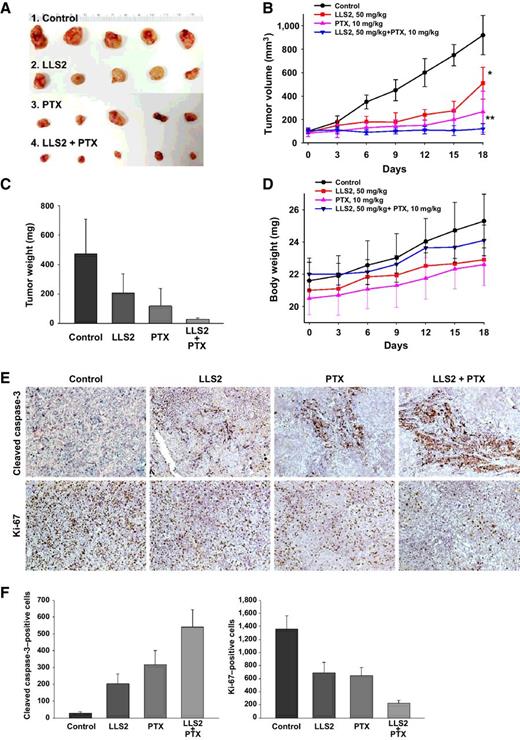 Figure 6. LLS2 alone and LLS2/PTX have antitumor activity in SKOV3 xenograft model. A, Xenograft tumor. B and C, Tumor growth curves (B) and tumor weight of the xenografts in inoculated nude mice (C). D, Body weight of nude mice. Briefly, 2.5 × 106 SKOV3 cells were subcutaneously injected to the right side of the dorsal flank of the female congenital athymic BALB/c nude mice. The tumors were allowed to grow to about 100 mm3. Then, mice were randomly divided into control and treatment groups (n = 5). Mice were given a daily intravenous administration for 5 successive days. E, IHC detection of Ki-67 and cleaved caspase-3 expression. F, Quantification of immunostaining of Ki-67 and cleaved caspase-3–positive cells. The cells were counted in 3 random chosen areas. *, P < 0.05; **, P < 0.01.
