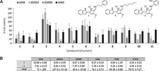 Figure 1. Effect of indole-based tambjamine analogues on cell survival. A, Single point screening of synthetic tambjamine analogues 1 to 11 (10 μmol/L) on a panel of lung cancer cell lines (A549, DMS53, SW900, and H460). B, IC50 values of selected compounds (1 and 2) on lung cancer cell lines and lung cancer patient-derived primary cultures (PC#8 and PC#13). For comparison purposes, cisplatin (CDDP) was used as the standard clinical chemotherapeutic agent. Viability was measured using the MTT assay after 24 hours of treatment. Results were obtained from at least three independent experiments, and bar represents the mean ± SD.