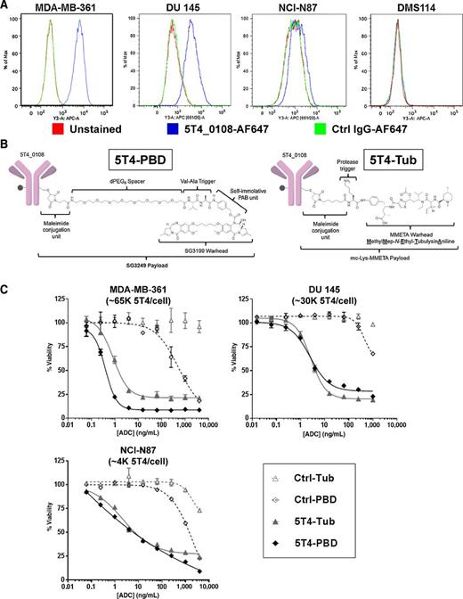 Figure 2. In vitro characterization of 5T4_0108 and ADCs comprised of this antibody. A, Target-specific binding of 5T4_0108 to human breast cancer (MDA-MB-361), prostate cancer (DU 145), and gastric cancer (NCI-N87) cell lines that express 5T4 or to 5T4-negative DMS 114 lung carcinoma cell lines was determined by flow cytometry. B, Structures of 5T4-PBD consisting of the 5T4_0108 antibody site-specifically conjugated to the PBD payload SG3249, and 5T4-Tub consisting of the 5T4_0108 antibody conjugated to the tubulysin payload mc-Lys-MMETA. C, The 5T4-PBD and 5T4-Tub ADCs were tested against tumor cells with different levels of 5T4 expression on the cell surface. A correlation between target expression and cytotoxicity was observed by testing the ADCs against MDA-MB-361 breast carcinoma cells with high levels of 5T4 cell surface expression, DU 145 prostate cancer cells with moderate levels of 5T4 cell surface expression, and NCI-N87 gastric carcinoma cells with low levels of 5T4 cell surface expression. Representative experiments are shown, and the values indicate the mean ± SEM. Control ADCs consisting of the site-specific variant of the R347 IgG1 isotype control antibody conjugated to either PBD (Ctrl-PBD) or tubulysin (Ctrl-Tub) were also included to determine target-specific binding.