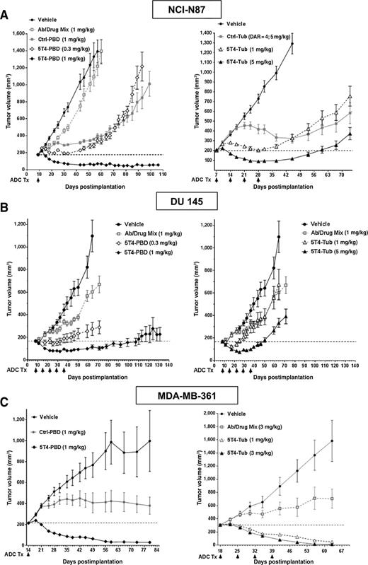 Figure 3. 5T4-PBD produces more durable responses in xenograft tumor models with varying levels 5T4 expression. 5T4-PBD and 5T4-Tub were tested in athymic nude mice bearing subcutaneous NCI-N87 (A), DU 145 (B), or MDA-MB-361 (C) xenografts. Following tumor cell inoculation, mice were size-matched into treatment groups, and therapeutic administration was initiated when the average tumor volume reached approximately 200 mm3. The administration of therapeutics in the study is indicated by the arrowheads, and the dotted lines represent average tumor volume at the time of treatment initiation; tumor volumes below this line are indicative of tumor regression. Values, mean ± SEM. Representative experiments are shown and demonstrate that while 5T4-PBD and 5T4-Tub are able to achieve tumor regressions in the MDA-MB-361 model with high 5T4 expression, 5T4-PBD produces more durable in vivo tumor regression than 5T4-Tub in the NCI-N87 and DU 145 models. Statistical significance of 5T4-ADC treatment groups (P < 0.05) was demonstrated via two-way ANOVA analysis.