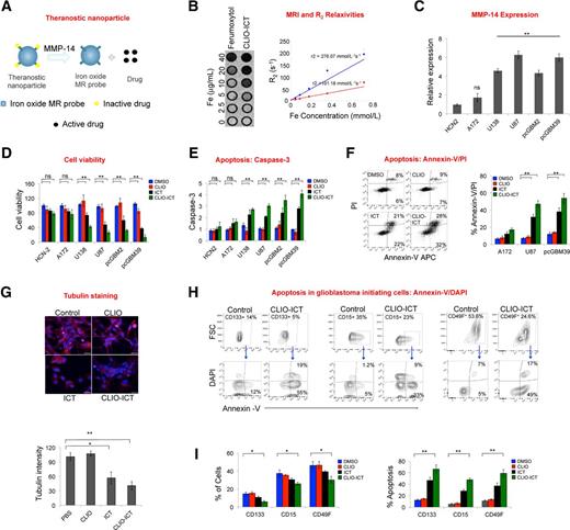 Figure 1. CLIO-ICTs inhibit GBM and GIC survival in vitro. A, Schematic demonstration of CLIO-ICT activation in presence of tumor enzyme MMP-14, to release the active drug, azademethylcolchicine. Azademethylcolchicine targets tubulin to induce apoptosis in tumor cells. B, Representative T2-weighted MR images of CLIO-ICT and ferumoxytol at different dilutions. T2 MSME sequences were used to generate R2 relaxivites. R2 relaxivities of CLIO-ICT (blue line) and ferumoxytol (red line). C, Graphical representation of MMP-14 expression in different GBM cells lines. MMP-14 expression was measured with qPCR assay, GAPDH served as endogenous control. D, Viability analysis of GBMs treated with CLIO-ICT (10 nmol/L), ICT (10 nmol/L), CLIO (0.01 mmol/L), and PBS. GBMs were treated for 96 hours and viability was assayed using MTS assay. E, Graph shows fold change for cleaved caspase-3 in control and treated GBM cells. Cleaved caspase-3 fluorescence signals were detected by SensoLyte Homogeneous AMC Caspase-3/7 assay kit and the fold change was represented by the ratio: fluorescence signals in treated/fluorescence signals in control. F, Annexin-V/PI apoptosis staining in control and treated GBM39 cells (left). Right, quantification for percentage apoptosis in A172, U87 and pcGBM39 cells after 48 hours of treatment. G, Immunofluorescence for α-tubulin in control and treated U87 cells. Top, confocal images and lower panel depicts quantification of tubulin signals (scale bar, 10 μm). H, Flow cytometry analysis of GIC markers (CD133, CD15, and CD49F), Annexin V/DAPI staining in control and treated pcGBM39 cells. CLIO-ICT–treated pcGBM39 were subjected to flow cytometric staining for GIC surface markers (top) and apoptosis markers (bottom). I, Graph shows percentages of CD133+, CD15+, and CD49F+ GICs (left) and percentage apoptosis (right) in gated CD133+, CD15+, and CD49F+ GICs from control and treated pcGBM39 cells. Results are represented as mean ± SD from three independent experiments. *, P < 0.05; **, P < 0.005, one-way ANOVA.