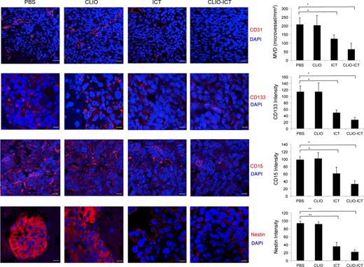 Figure 4. CLIO-ICTs target GBM vasculature and GICs in vivo. Tumors were established with orthotopic injections of pcGBM39 cells. Mice were treated with CLIO-ICT (0.5 mmol Fe/kg and 80 mg/kg of ICT), ICT (80 mg/kg of ICT), CLIO (0.5 mmol Fe/kg), or vehicle. Representative immunofluorescent confocal images depicting CD31, CD133, CD15, and Nestin staining in pcGBM39 tumors. CD31 is used to outline tumor vasculature. CD133, CD15, and nestin are used to mark GICs. Signal intensity for CD31, CD133, CD15, and nestin in control and treated tumors have been quantified and represented graphically. Scale bar, 20 μm (CD31) and 10 μm (CD133, CD15 and nestin). Results are representative of three independent experiments (*, P < 0.05; **, P < 0.005, one-way ANOVA).
