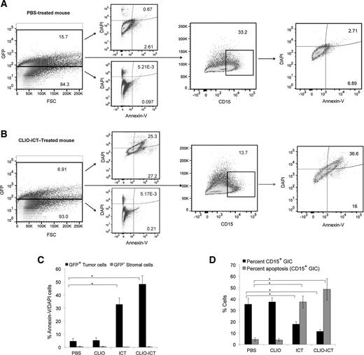 Figure 5. CLIO-ICTs induce GIC apoptosis in vivo. Tumors were initiated with orthotopic injections of pcGBM2 cells. Mice were treated with CLIO-ICT (0.5 mmol Fe/kg and 80 mg/kg of ICT), ICT (80 mg/kg of ICT), CLIO (0.5 mmol Fe/kg), or vehicle. Flow cytometric analysis of GIC markers (CD15), Annexin V, and DAPI in (A) vehicle and (B) CLIO-ICT–treated pcGBM2 tumors. GFP-positive pcGBM2 tumors were gated and analyzed for percentage apoptosis in both pcGBM2 cells (C) and GICs from pcGBM2 (D) (P < 0.05; **, P < 0.005, n = 6, one-way ANOVA).