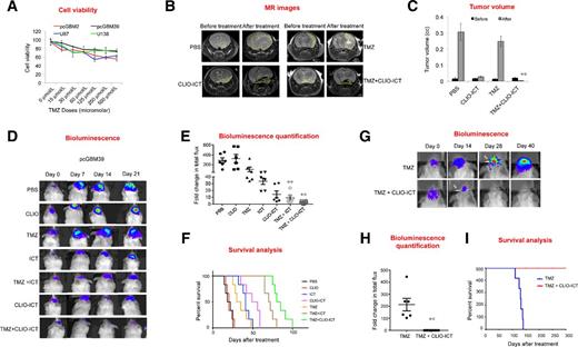 Figure 6. CLIO-ICTs increase the antitumor efficacy of temozolomide (TMZ) in vivo. A, In vitro analysis of temozolomide chemosensitivity by cell viability assay. Panel of GBM cells were exposed to increasing doses of temozolomide (0–500 μmol/L) for 72 hours and cell viability was calculated by MTS assay. For in vivo experiments, tumors were initiated with orthotopic injections of pcGBM39 cells (B–F) and pcGBM2 cells (G–I). Mice were treated with TMZ alone (200 mg/kg) or in combination with CLIO-ICT (0.5 mmol Fe/kg and 80 mg/kg of ICT) and ICT (80 mg/kg of ICT), CLIO (0.5 mmol Fe/kg), or vehicle. B, Representative T2-weighted MR images of mice brain. T2 FSE sequences were used to capture coronal T2-weighted images. Yellow dotted line represents tumor periphery. C, Quantification of tumor volumes before and after treatment. T2-weighted MR scans were used to calculate tumor volumes using Osirix software. Bioluminescence in vivo images of tumors in control and treated mice in pcGBM39 (D) and pcGBM2 (G) tumor models. E and H, Quantification of the bioluminescent signals. Fold change in total flux represents the ratio: total flux after treatment/total flux before treatment. *, P < 0.05, respectively, n = 6 (pcGBM39) and n = 6 (pcGBM2), one-way ANOVA. F and I, Kaplan–Meier survival curves of control and treated mice (n = 6, pcGBM39; n = 6, pcGBM2) demonstrate a significant survival benefit of CLIO-ICT and ICT in combination with TMZ as compared with vehicle, log-rank Mantel–Cox test (*, P < 0.05; **, P < 0.005, n = 6, one-way ANOVA).