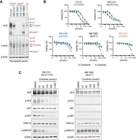 Figure 2. ALK inhibitors reduce viability in cells expressing EML4-ALK fusions, but not in cells expressing ALKATI or wt ALK. A, Immunoblot analysis of lysates from H3122 NSCLC cells and melanoma cells. B, Cells were treated with increasing concentrations of ALK inhibitors crizotinib or ceritinib. Viability was analyzed after 72 hours and normalized to DMSO-treated controls. C, Cells were treated with increasing concentrations of crizotinib for 2 hours and analyzed by immunoblotting.