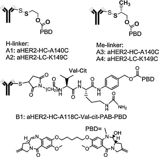 Figure 1. Chemical structures of ADCs and catabolites (payloads) used in this study.