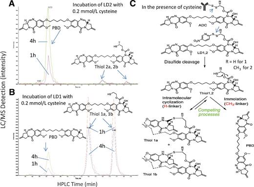 Figure 4. Catabolite identification and payload release mechanism of H- (non-methyl) and Me- (methyl) disulfide linkers from nitropyridyl disulfide PBD linker drugs (LD1 and LD2) in the presence of cysteine at pH 5.5.
