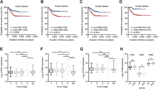 Figure 1. PIM expression is a prognostic biomarker in neuroblastoma. A–D, High PIM mRNA expression correlates with poor overall survival in neuroblastoma. Kaplan–Meier survival curves of the Kocak cohort (476 patients) demonstrate overall patient survival, using median PIM expression as a cut-off value for high versus low expression. High PIM1/2/3 indicates patients with high expression of either PIM1, -2, or -3. P values were calculated using a log-rank test. E–G, PIM1 and -2 expression is highest in stage IV neuroblastoma patients (Kocak cohort). P values were calculated using a one-way ANOVA and Dunnett test. P ≤ 0.05 (*), P ≤ 0.01 (**), P ≤ 0.001 (***), and P ≤ 0.0001 (****). H, PIM expression in MYCN-amplified and nonamplified tumors (Kocak cohort). P values were calculated using an unpaired t test. P ≤ 0.01 (**).