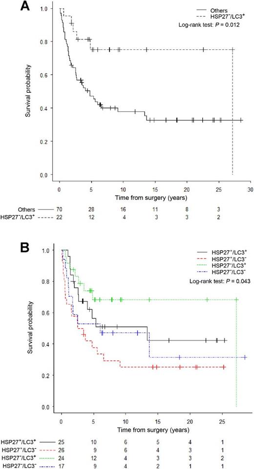 Figure 3. OS of patients with localized osteosarcoma based on analysis of the combination of LC3B+ puncta and HSP27 expression statuses at resection. A, Patients with LC3B+ puncta and negative HSP27 expression versus all other groups. B, Groups stratified according to the presence or absence of both HSP27 expression and LC3B+ puncta. The combination of negative HSP27 expression and the presence of LC3B+ puncta was associated with favorable OS. P values were calculated with a log-rank test.