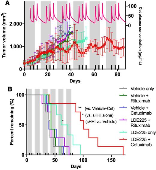 Figure 6. Effect of sequential combination of sHHI and mAb on tumor growth. A, Volume progression of tumor #18269 was measured during multiple treatment cycles consisting of 10-day sHHI administration (gray bands; NVP-LDE225 at 40 mg/kg/day p.o.) with 7 mg/kg/dose mAb administered i.v. on days 5, 8, and 11 (ticks on abscissa). The interval between sHHI treatment cycles was 4 days. When implanted tumors were 150 to 500 mm3 (mean 249.1 ± 99.89 SD), mice were randomized into treatment groups having nearly identical means and distributions. Cetuximab was the targeted mAb, and rituximab was the nontargeted control mAb. Each group consisted of 7 mice; plots of tumor growth continue until the day that the 2nd of 7 mice in a group was removed from study owing to tumor volume progression to the protocol TVL. Pink line/right-hand ordinate: Pharmacokinetic model prediction of the cetuximab plasma concentrations resulting from the mAb dosing scheme (see Supplementary Information). B, Kaplan–Meier analysis of survival time to TVL (2,000 mm3) for each treatment group. Statistical analysis based on Log-rank (Mantel–Cox) and Gehan–Breslow–Wilcoxon tests, as implemented in Prism Graphpad 7. Only the NVP-LDE225-alone (*, P ≤ 0.05) and NVP-LDE225+cetuximab groups (**, P ≤ 0.01) differ statistically from all others. The NVP-LDE225+cetuximab group median survival is significantly greater (*, P ≤ 0.05) than the NVP-LDE225–alone group.