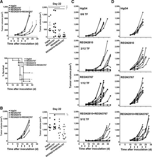 Figure 2. Antitumor responses of cemiplimab and REGN3767 combination treatment in MC38.Ova tumor model in human PD-1xLAG-3–knockin mice. A and C, Prophylactic cemiplimab+REGN3767 treatment inhibits MC38.Ova tumor growth. On day 0, human PD-1xLAG-3–knockin mice were injected subcutaneously with 5 × 105 MC38.Ova cells and randomized into four treatment groups. Mice were administered REGN3767 (25 mg/kg; N = 12), cemiplimab (10 mg/kg; N = 12), REGN3767 (25 mg/kg) + cemiplimab (10 mg/kg) combination (N = 12), or hIgG4 control (25 mg/kg; N = 6) by i.p. injection on days 3, 7, 10, 14, and 17. A, Average tumor volumes (mm3 ± SEM) in each treatment group. Treatment days are indicated by arrows (top, left graph). Individual tumor volumes in each treatment group were measured on day 22, the last timepoint when all animals in the study were alive (top, right graph). Statistical significance was determined by one-way ANOVA with Tukey multiple comparison post-test (*, P < 0.05; **, P < 0.01). Kaplan–Meier survival curves of mice treated with single agents or combination agents are shown (bottom graph). A log-rank (Mantel–Cox) test revealed that combination therapy or cemiplimab monotherapy significantly prolonged mouse survival compared with the control group (****, P < 0.0001; **, P < 0.01, respectively). C, Individual tumor growth curves in each treatment group. The number of tumor-free (TF) animals on day 32 is shown. B and D, Cemiplimab+REGN3767 combination treatment delays growth of established tumors. PD-1xLAG-3–knockin mice were injected subcutaneously with 5 × 105 MC38.Ova cells on day 0, randomized into four treatment groups on day 10 (108 mm3 mean tumor volume per group) and treated by i.p. injection with cemiplimab (10 mg/kg; N = 10), REGN3767 (25 mg/kg; N = 9), combination cemiplimab + REGN3767 (10 mg/kg + 25 mg/kg; N = 11), or isotype control antibody (25 mg/kg, N = 7) on days 10, 14, 17, 22, and 25. B, Average tumor volumes (mm3± SEM) in each treatment group (left graph). Individual tumor volumes in each treatment group were measured on day 22, the last timepoint when all animals in the study were alive (right graph). D, Individual tumor growth curves in each treatment group.