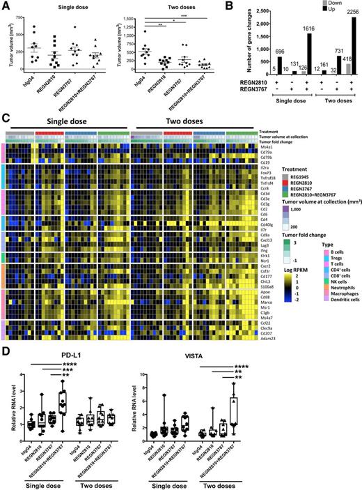 Figure 5. Changes in expression of immune-related genes in tumors treated with cemiplimab, REGN3767, and the combination. A, Mean volumes of MC38.Ova tumors in PD-1xLAG-3 mice, treated with single dose or two doses of control antibodies, cemiplimab, REGN3767, or cemiplimab+REGN3767. On day 0, MC38.Ova cells (5 × 105 cells/mouse) were implanted subcutaneously and mice were randomized on day 10, when tumors reached 100 mm3. One group of mice was treated on randomization day 10 with a single dose of control antibodies, REGN3767, cemiplimab, or their combination, and another group was treated with two doses (on day 10 and day 14). Tumors in a single-dose treatment group were harvested on day 14, and tumors in two doses treatment group were harvested on day 17. Data represent analysis of 9–10 mice per each antibody treatment, mean ± SEM. *, P < 0.05; **, P < 0.01; ***, P < 0.001. B, Differentially expressed genes with at least 1.5-fold change by RNA seq analysis after single or two doses of single or dual blockade of cemiplimab and REGN3767. C, Heatmap of predefined marker genes for neutrophils, macrophages, NK cells, T cells, and cytokines/cytotoxic genes regulated by combination therapy. For single or two doses points, fold changes relative to median values for the isotype controls are shown. D, Combination treatment results in increased relative levels of mPD-L1 and mVISTA RNA (normalized to mouse cyclophilin RNA) compared with the single antibody or isotype control group (assigned a value of 1.0). Mice were treated as in A, and tumors were collected after single or two doses of monotherapy or dual therapy of cemiplimab and REGN3767. Tumor RNA was analyzed by TaqMan real-time PCR. Values are median, plotted in box-and-whiskers plot with whiskers extended from minimum to maximum (*, P < 0.05; **, P < 0.01; ***, P < 0.001; ****, P < 0.0001).