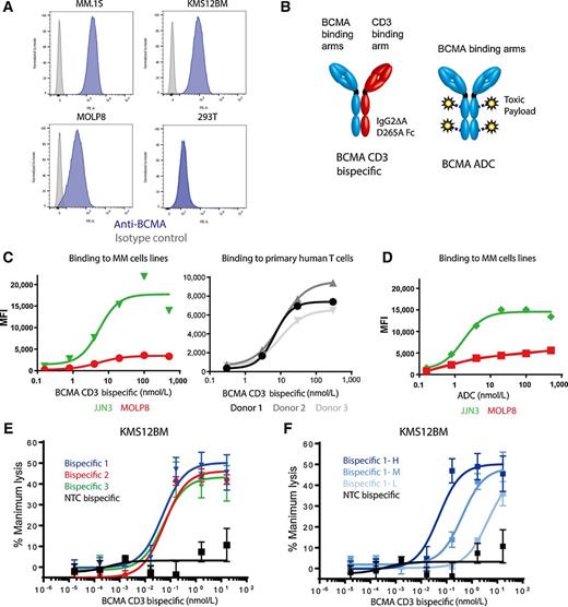 Figure 1. Generation of anti-BCMA therapeutic molecules and characterization of cell binding and cytotoxicity. A, Antibodies with specific binding to BCMA, as seen in the representative plot, were selected for additional characterization. Antibodies were screened by flow cytometry against endogenously expressing myeloma cell lines MM.1S, KMS12BM, and MOLP8, and the BCMA-negative cell line, HEK293T. Blue and gray peaks represent staining with anti-BCMA and isotype control antibody, respectively. B, Schematic of the 2 anti-BCMA therapeutic molecule formats: a full-length fully human IgG2ΔA D265A bispecific generated by combining BCMA and CD3 targeting arms though hinge mutations and a BCMA ADC generated through site-specific conjugation of cleavable linkers and auristatin drug payloads with a drug-to-antibody ratio (DAR) of 4. C, The BCMA CD3 bispecific selected for additional analysis binds in a dose-dependent manner to 2 myeloma cell lines and to T cells from 3 donors, single points. D, The BCMA antibody selected for further BCMA ADC studies successfully binds to 2 BCMA-expressing myeloma cell lines when formatted as an ADC, single points. E, BCMA CD3 bispecific antibodies with different BCMA epitopes but comparable binding affinities showed similar cytotoxicity against KMS12BM. A NTC consisting of only the CD3 arm combined with a truncated Fc was used as a negative control. n = 3 technical replicates, results shown as mean ± SD. F, Higher affinity BCMA bispecifics against the same epitope are more potent in cellular toxicity assays. Three affinity variants with high (H), medium (M), and low (L) affinities were generated by affinity maturation of a parental antibody and formatted into CD3 bispecifics to evaluate effect of BCMA binding affinity on cytolytic activity. n = 3 technical replicates, results shown as mean ± SD.